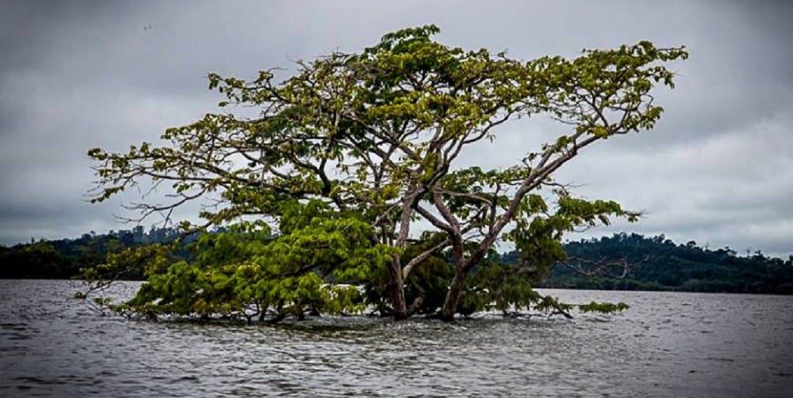 Un documental vuelve a la herida abierta de Belo Monte en el Xingu