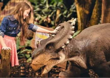 Entre os destaques do atrativo está um T-Rex com cerca de 12 metros de altura. Foto: Complexo Dreams Park