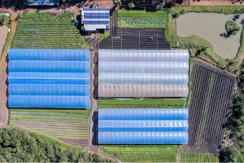 Orgânicos Turetta é referência em produção de alimentos orgânicos – foto: arquivo familiar