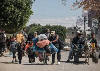 Um grupo de palestinos deslocados espera pela distribuição de água de MSF na área de Tal Al-Sultan, na cidade de Rafah, sul de Gaza. Janeiro de 2024. © MSF