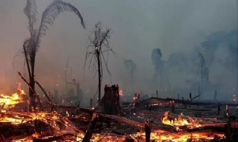 35% do desmatamento na Amazônia entre agosto de 2018 e julho de 2019 se deu em terras públicas não destinadas, categoria visada por grileiros Imagem: Reuters