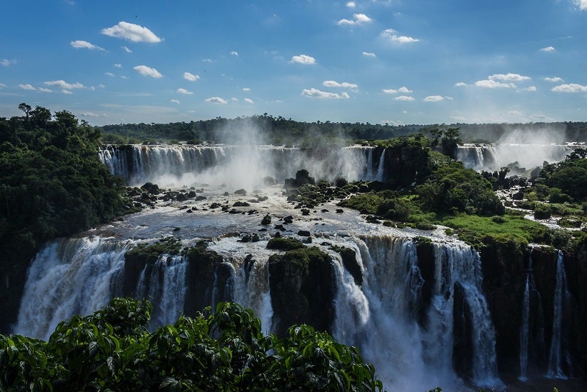 Foto: Wilson Vitorino/Pexels