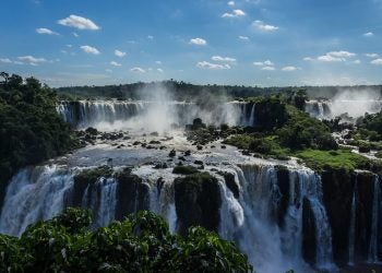 Foto: Wilson Vitorino/Pexels