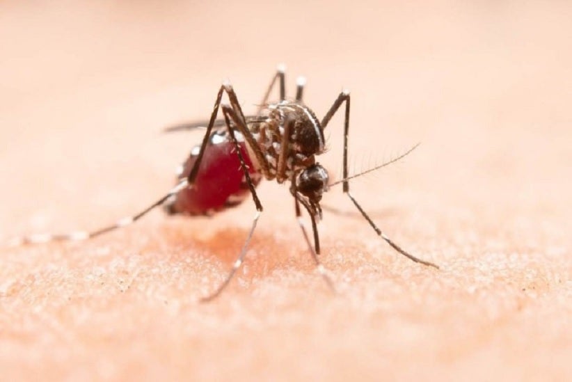Juntos, combatemos a dengue!