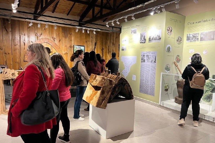 Visite os museus e desvende os tesouros culturais e históricos de Cascavel