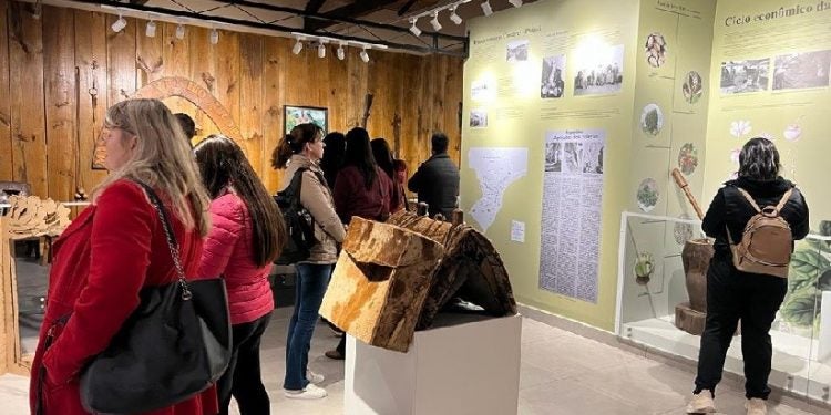 Visite os museus e desvende os tesouros culturais e históricos de Cascavel