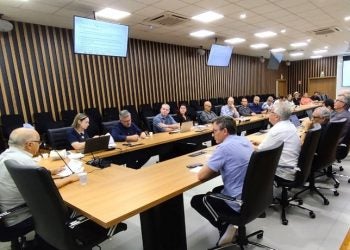 O colegiado irá atuar em torno das oportunidades e desafios da economia de Foz do Iguaçu – foto: Divulgação
