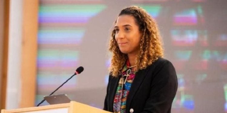A ministra Anielle Franco teve reuniões com representantes dos governos dos Estados Unidos e da Colômbia, num reforço dos laços históricos e de cooperação entre os países - Foto: Lucas Castor