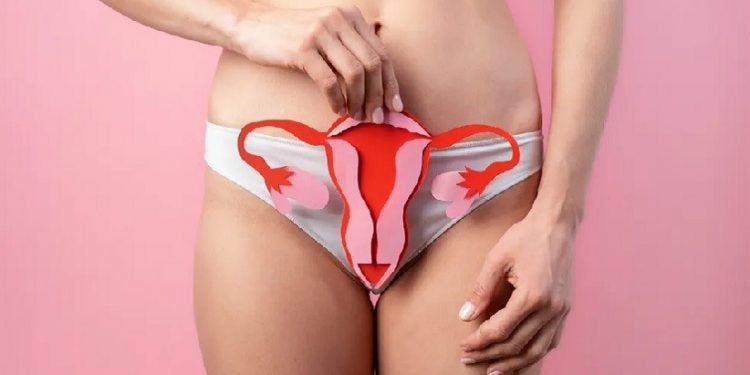 Câncer de colo de útero é a quarta causa de morte por câncer em mulheres no país. — Foto: Reprodução/Freepik