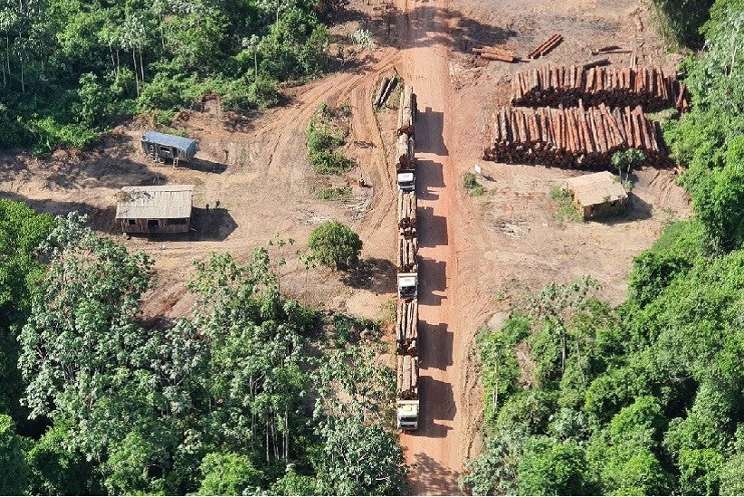 Queda neste primeiro mês de 2023 pode ser reflexo da retomada da pauta da defesa ambiental pelo governo Lula, diz entidade