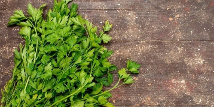 Imagem: Freepik