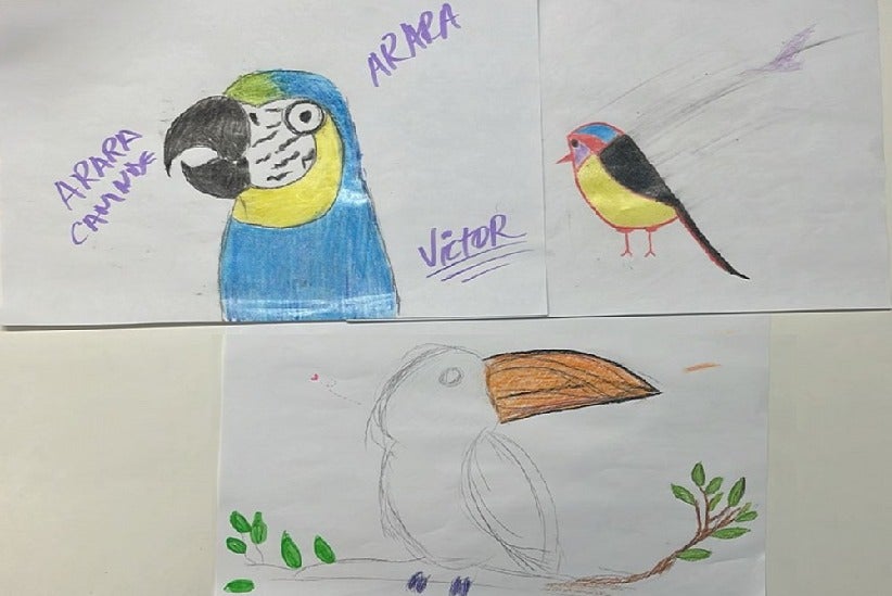 Foto: Divulgação/Parque das Aves