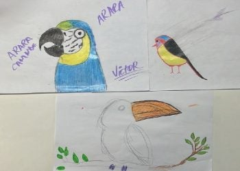 Foto: Divulgação/Parque das Aves