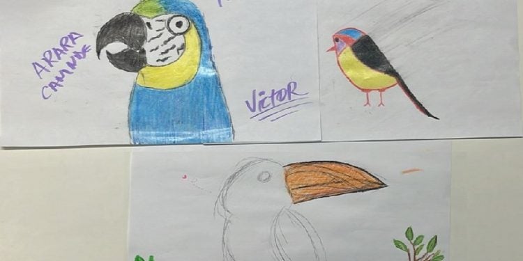 Foto: Divulgação/Parque das Aves