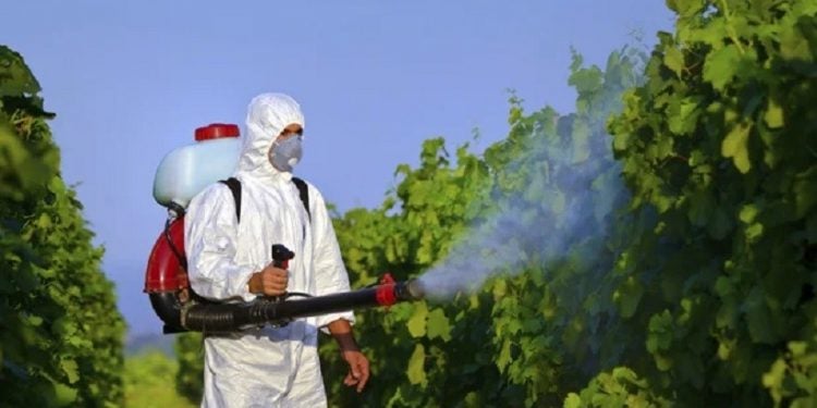 Práticas de uso de agrotóxicos no país aumenta os riscos à saúde - Foto: Divulgação