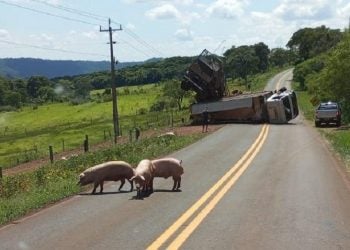 Foto: Coesta Oeste/Divulgação