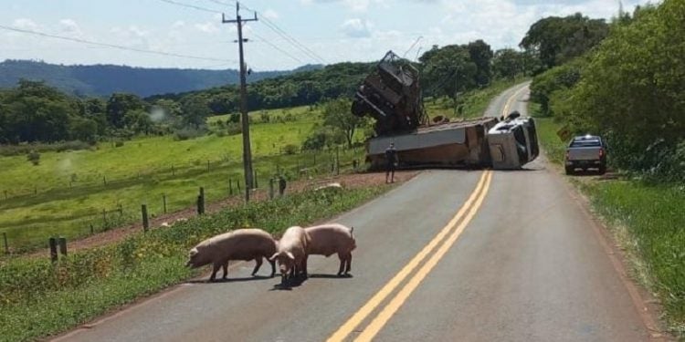 Foto: Coesta Oeste/Divulgação