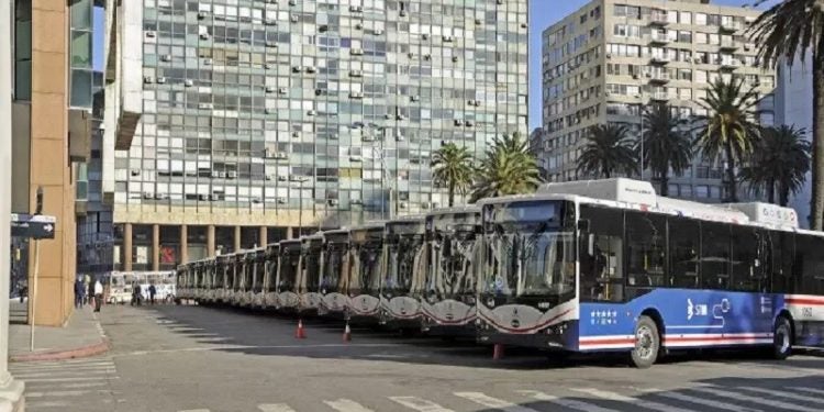 Los autobuses eléctricos chinos llegan a Montevideo, Uruguay (imagem: Presidencia de la República Oriental del Uruguay)