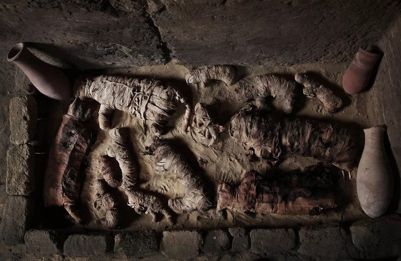 Gatos mumificados dentro de uma tumba na necrópole perto das pirâmides egípcias, em Sacará. Arqueologistas locais descobriram sete tumbas da era farônica contendo dúzias de múmias de gato e estátuas de animais feitas de madeira. — Foto: Nariman El-Mofty/A