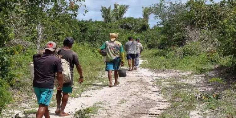 Imagem dos pescadores da comunidade de Canelatiua  (Foto: Eduardo Queiroz/Amazônia Real/2019)