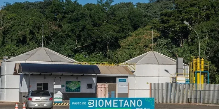 Foto: Divulgação/Cibiogás