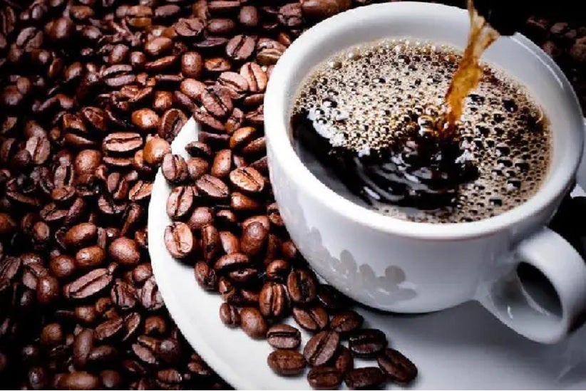 torra-do-café-fronteiralivre