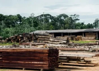 Foto: Marcelo Camargo/Agência Brasil