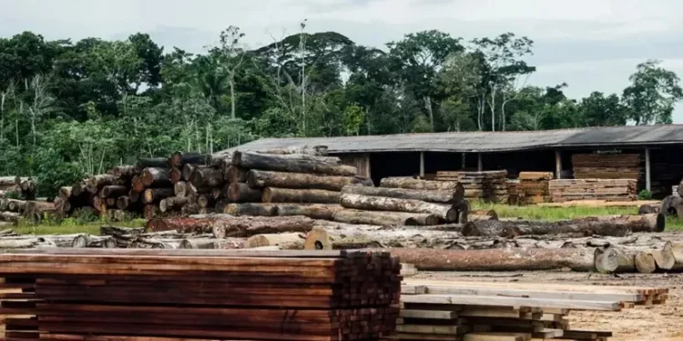 Foto: Marcelo Camargo/Agência Brasil