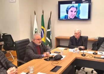 Plenária presencial e on-line reuniu lideranças, empresários e agentes públicos – foto: Divulgação