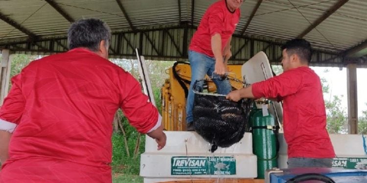 Fotos: Diretoria de Coordenação/Itaipu Binacional
