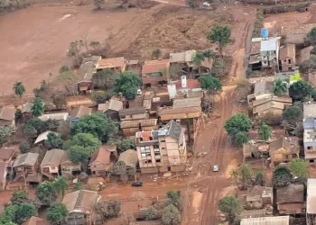 Foto: Divulgação/MSFBrasil