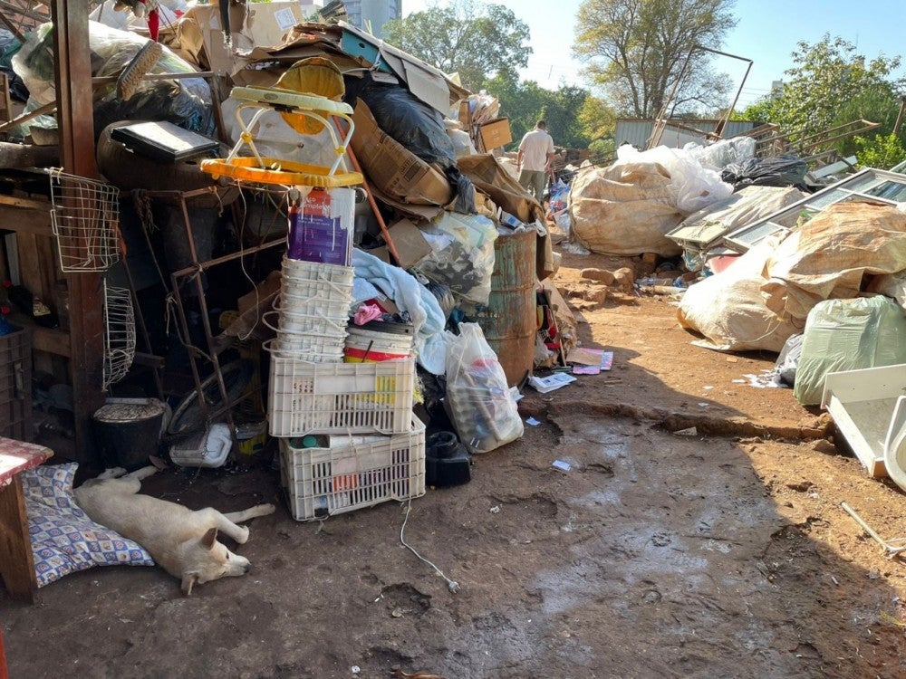 Pesquisa quer identificar em Foz do Iguaçu todas as situações de possível acumulação de objetos e animais