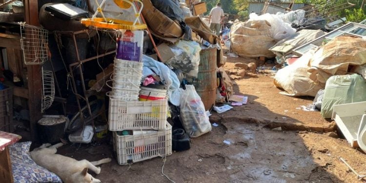 Pesquisa quer identificar em Foz do Iguaçu todas as situações de possível acumulação de objetos e animais