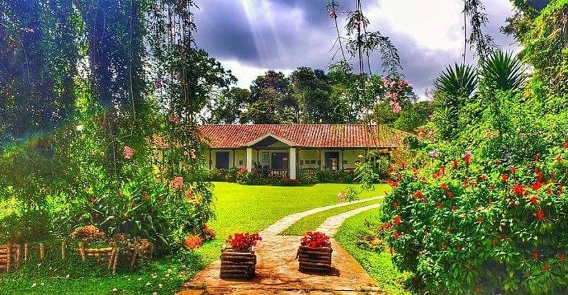 Foto: Fazenda El Roble/Divulgação