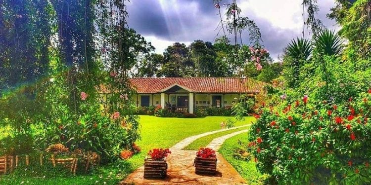 Foto: Fazenda El Roble/Divulgação
