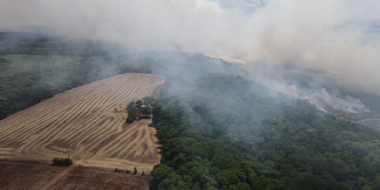 Das seis ocorrências deste ano, quatro delas aconteceram em Guaíra. Foto: Itaipu Binacional
