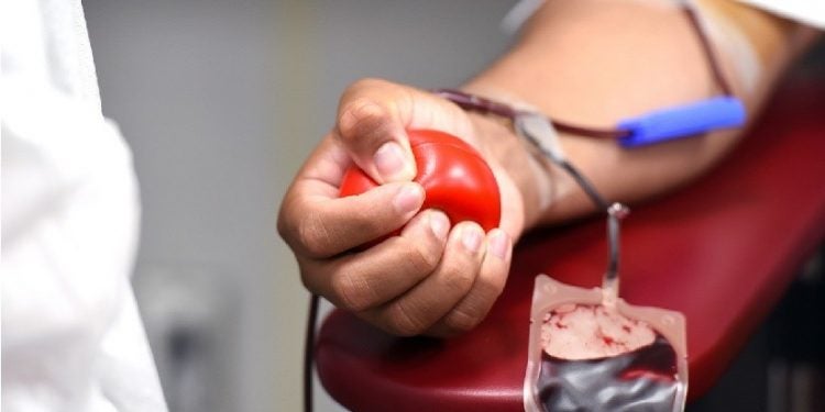 Biomédicos reforçam a importância da doação de sangue; gesto humanitário pode salvar até quatro vidas - Foto: Michelle Gordon/Pixabay