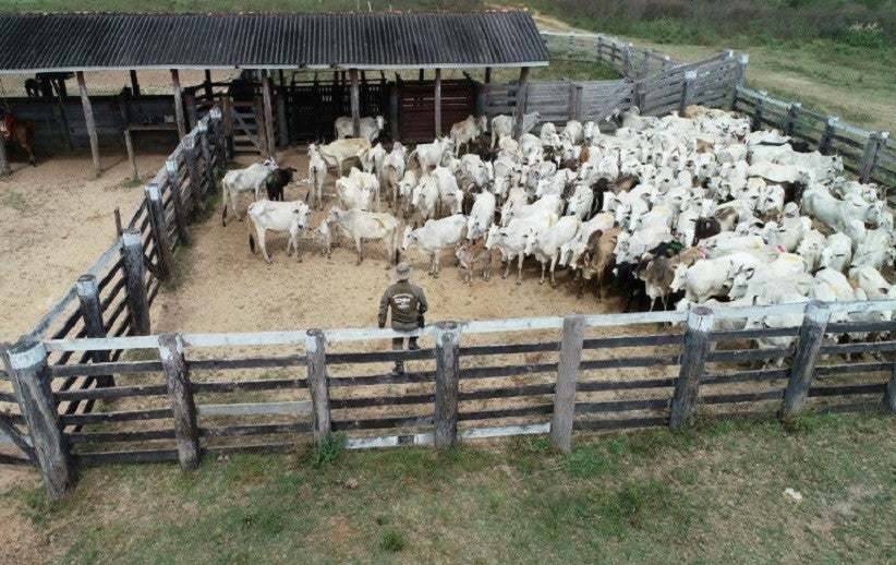 Foto: Arquivo ICMBio