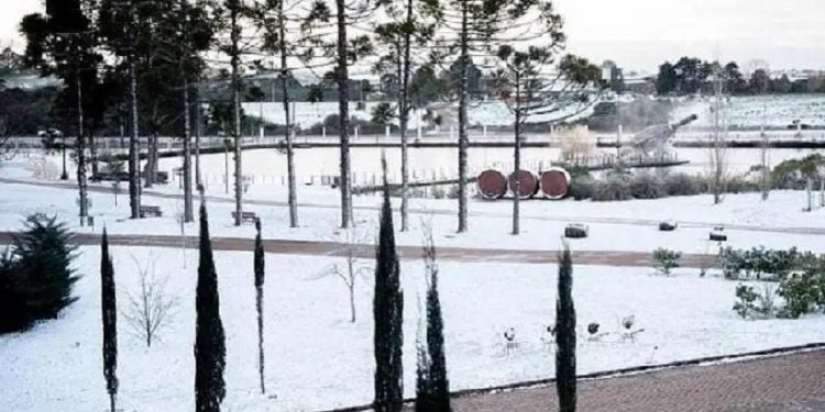 Foto: Reprodução