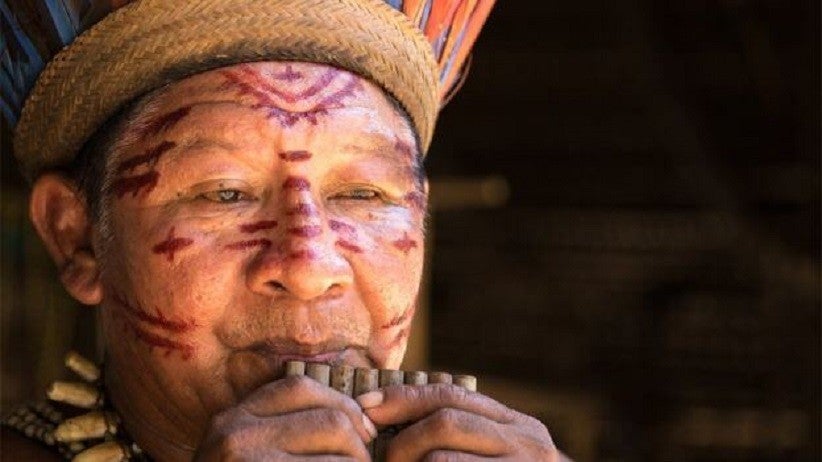 Indígenas vêm retornando às regiões de origem para reivindicar demarcação de territórios – foto: thinkstockphotos/BBC Brasil