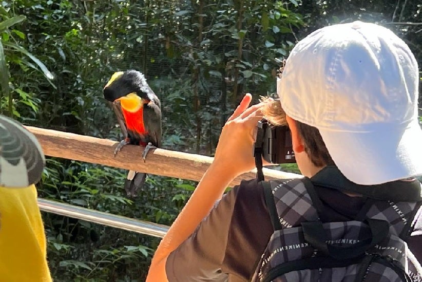 Foto: Divulgação