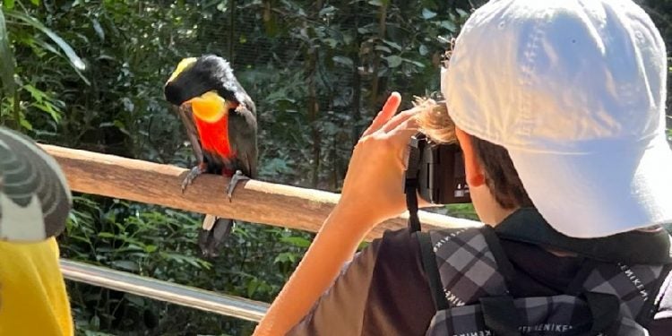 Foto: Divulgação
