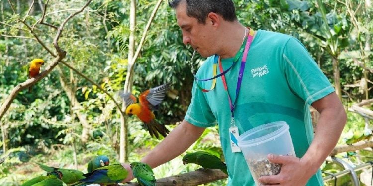 Fotos: Parque das Aves