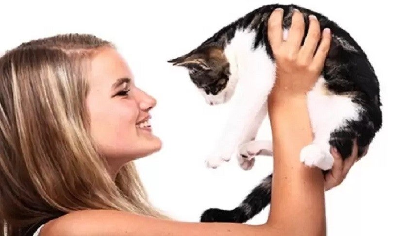Foto: Reprodução/PJ’s Pets & Pets Unlimited