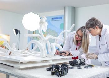 Especialistas em restauração atuam em laboratório no Palácio do Alvorada para recuperar obras danificadas em 8 de janeiro de 2023. Foto: Wallisson Breno / Audiovisual PR
