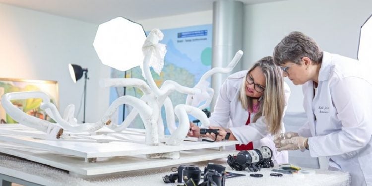 Especialistas em restauração atuam em laboratório no Palácio do Alvorada para recuperar obras danificadas em 8 de janeiro de 2023. Foto: Wallisson Breno / Audiovisual PR
