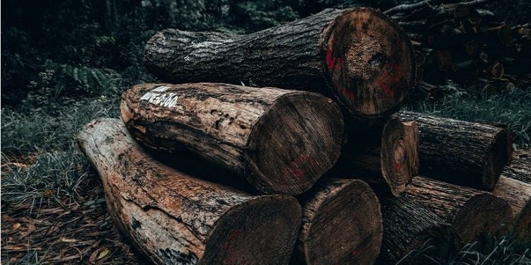 Foto: Sharad Bhat/Pexels