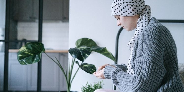Foto: Ivan Samkov/Pexels
