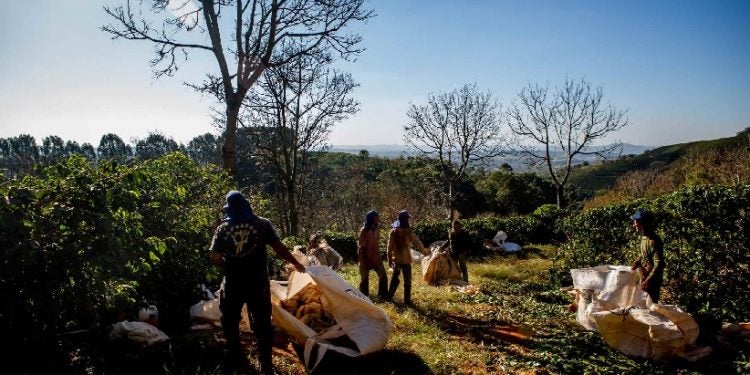 (Foto: Lela Beltrão/Repórter Brasil)