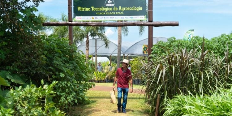 Foto: Sara Cheida/Itaipu Binacional